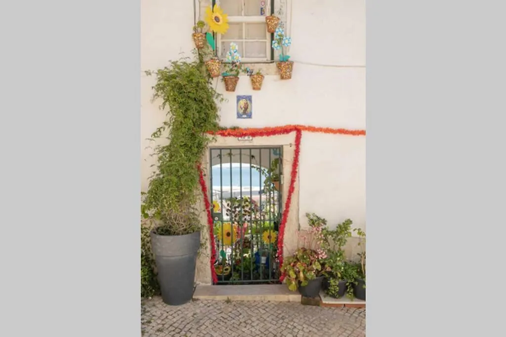 Adica 4Studio - Village Apartment Lisbon 0*,  Portugal